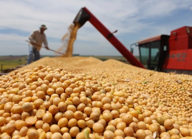 Queda de produtividade, falta de insumos e alta do diesel afetam o agronegócio